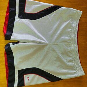 Vintage Nike basketball shorts mens size 38 XL gray tag. Reversible BAGGY Y2K